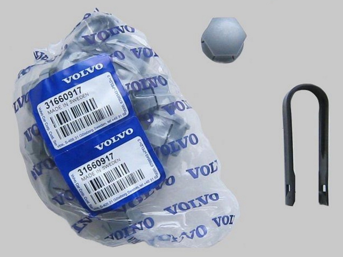 Genuine Volvo Wheel Bolt Kit Plastic Caps Kit Of Twenty Silver 31660917 Volvo Dealer
